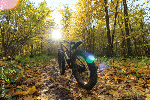 Bike with electric motor and thick wheels in the autumn forest. © Sergei Dvornikov