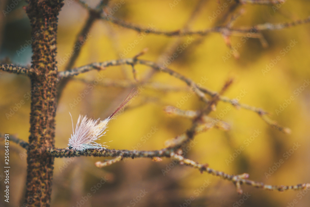 Dry fly on the background of the river. Fly fishing. Dry fly on the background of the river. Fly fishing.