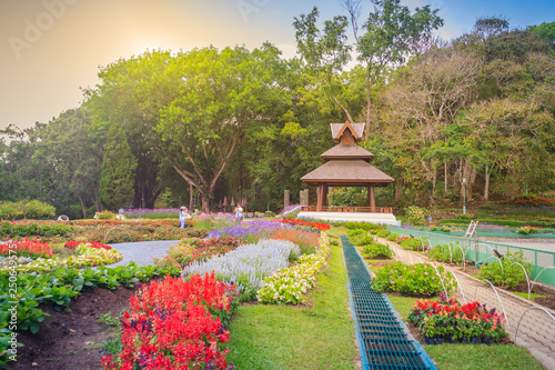 Colorful landscape view of flower garden and northern Thai's style wooden pavilion at Bhubing palace, Chiang Mai, Thailand. photo