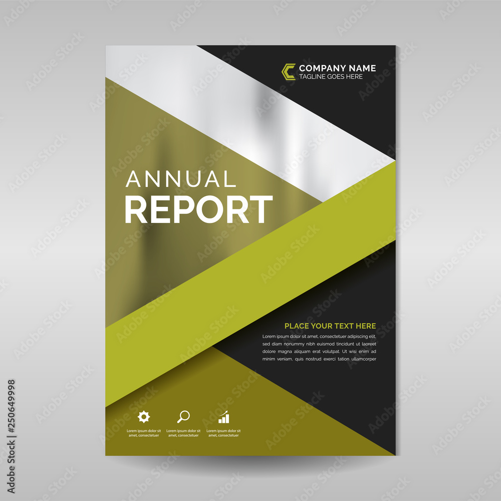 Fototapeta premium Modern annual report template