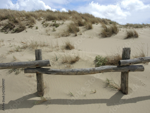 Fence of thick crooked sticks in a sand dune photo