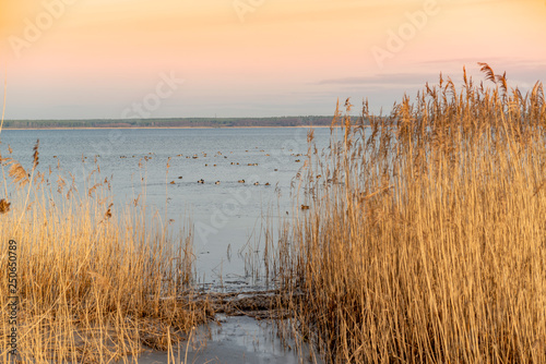 winter at fleesensee