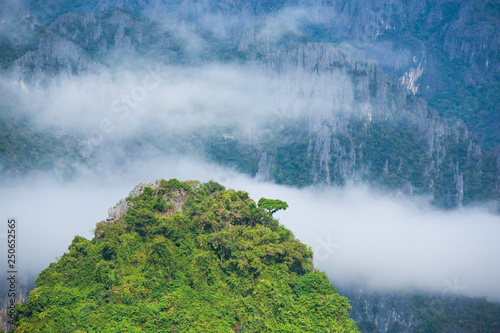 Magical limestone mountain in the morning mist.