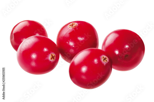 Cranberries freigestellt