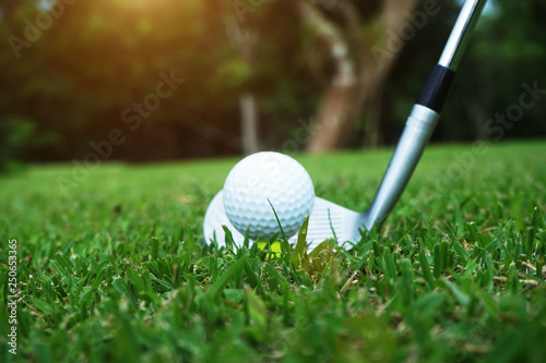 Blurred golf club and golf ball close up in grass field with sunset. Golf ball close up in golf coures at Thailand