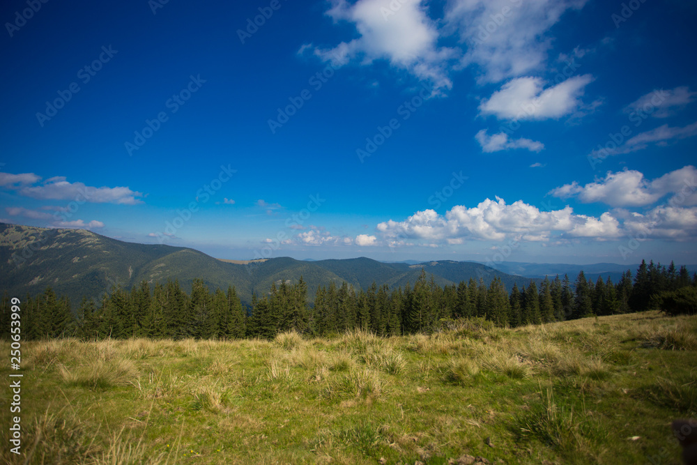 Beautiful landscape of summer mountains with blue sky. Summer mountain village landscape