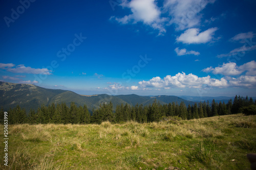 Beautiful landscape of summer mountains with blue sky. Summer mountain village landscape © Svetlana