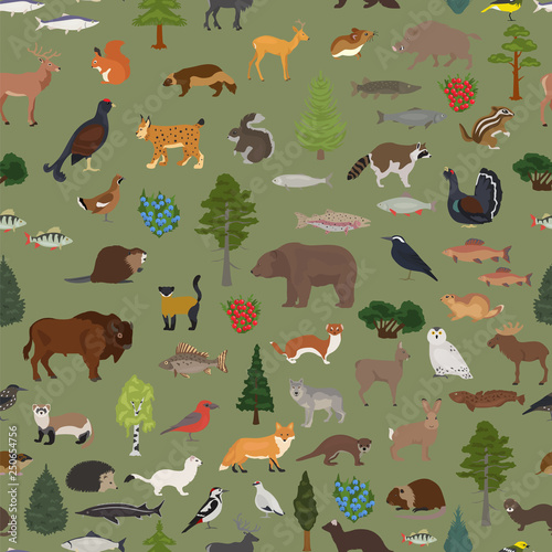 Taiga biome, boreal snow forest seamless pattern. Terrestrial ecosystem world map. Animals, birds, fish and plants design