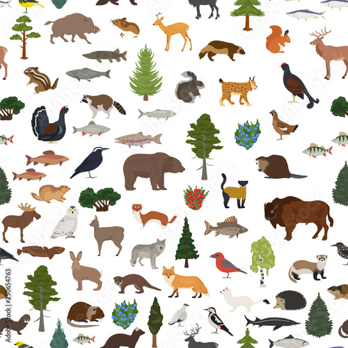 Taiga biome, boreal snow forest seamless pattern. Terrestrial ecosystem world map. Animals, birds, fish and plants design