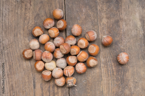 Hazelnut nuts