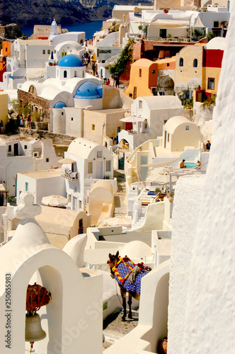 The village of Oia on Santorini with colorful iconic buildings and spectacular views. 