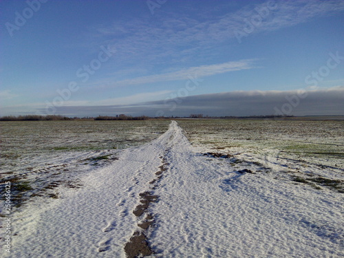 road in winter