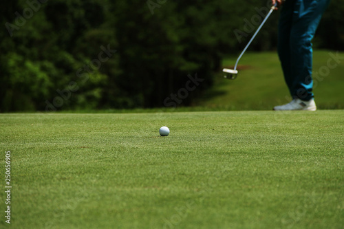 Golfers are putting golf in the evening golf course, on sun set evening time.