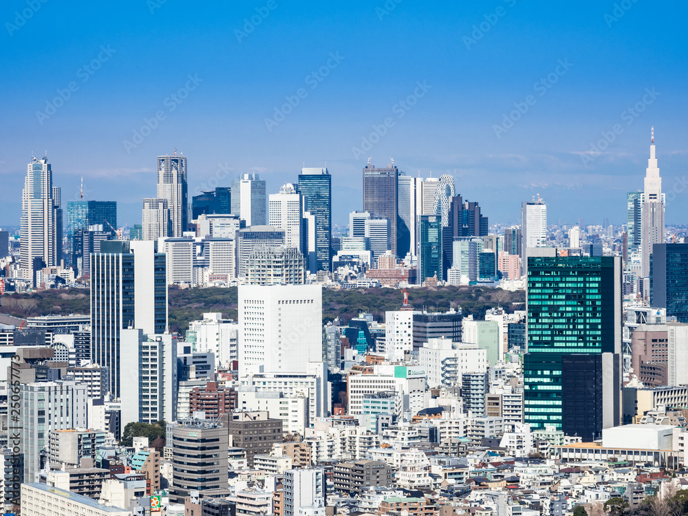 東京　新宿・渋谷の高層ビル群