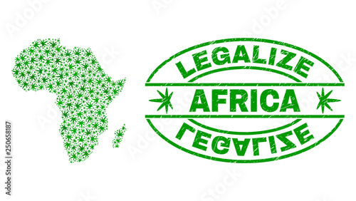 Vector cannabis Africa map mosaic and grunge textured Legalize stamp seal. Concept with green weed leaves. Template for cannabis legalize campaign. Vector Africa map is formed with weed leaves.