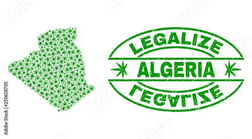 Vector cannabis Algeria map collage and grunge textured Legalize stamp seal. Concept with green weed leaves. Concept for cannabis legalize campaign. Vector Algeria map is created of weed leaves.