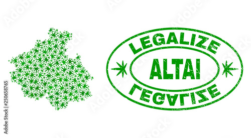 Vector cannabis Altai Republic map collage and grunge textured Legalize stamp seal. Concept with green weed leaves. Concept for cannabis legalize campaign.