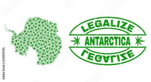 Vector cannabis Antarctica continent map collage and grunge textured Legalize stamp seal. Concept with green weed leaves. Concept for cannabis legalize campaign.