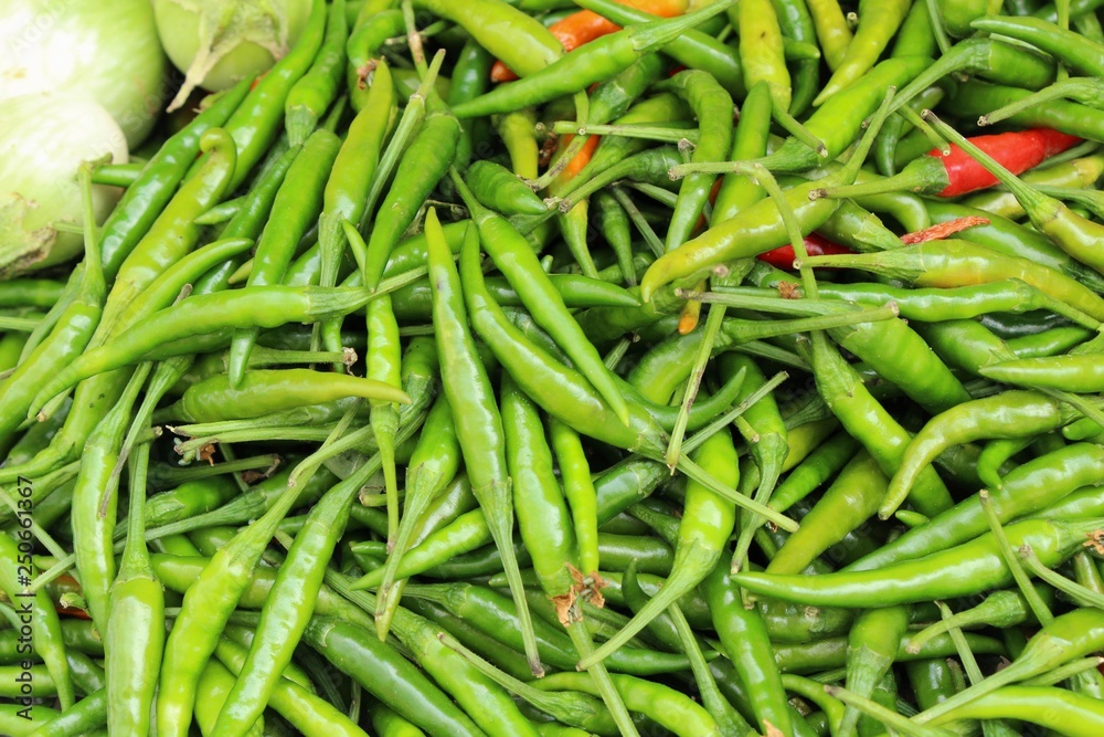Fresh chilli for cooking at street food Fresh chilli for cooking at street food