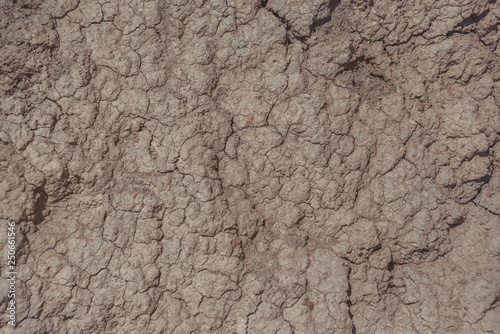 Dry and cracked ground for background. Texture of dried soil
