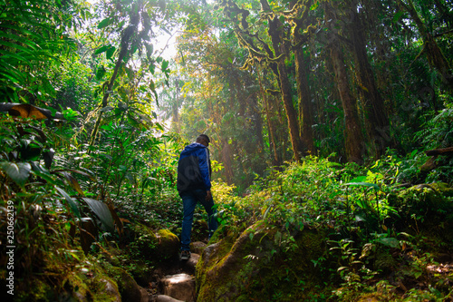 man walking in the forest of pastora