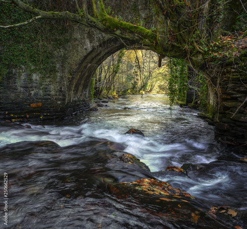 An old medieval stone bridge