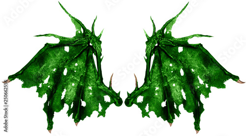 Close up on dragon wings isolated on white background. Cut out.