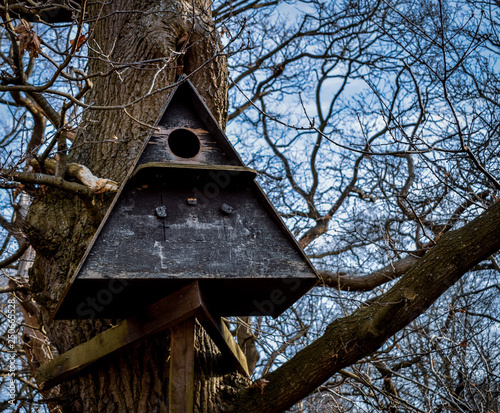 Bird box, bird nest in tree 