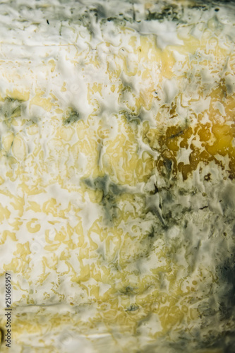 Mild blue Auvergne cheese F...