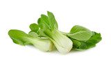 fresh baby bok choy or chinese cabbage on white background