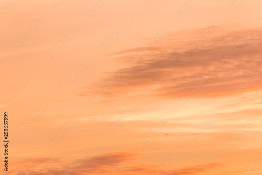 Fototapeta premium Colorful sunset sky. Bright orange. Copy space. Place for text and design