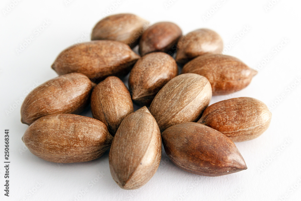 Three pecan nuts and nut splitting tongs, isolated on white back Three pecan nuts and nut splitting tongs, isolated on white back