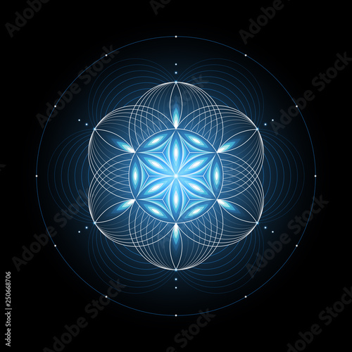 Fantastic sacred geometry; Shiny ancient symbol "flower of life" on black background; Psychedelic vector illustration.