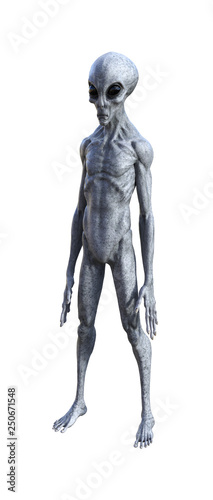Illustration of an gray alien being on a white background