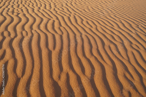 wellenförmiger Wünsten-Sand, Sahara