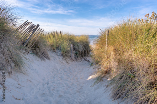 Fototapeta Naklejka Na Ścianę i Meble -  French landscape - Bretagne. Small path with dunes and grass.