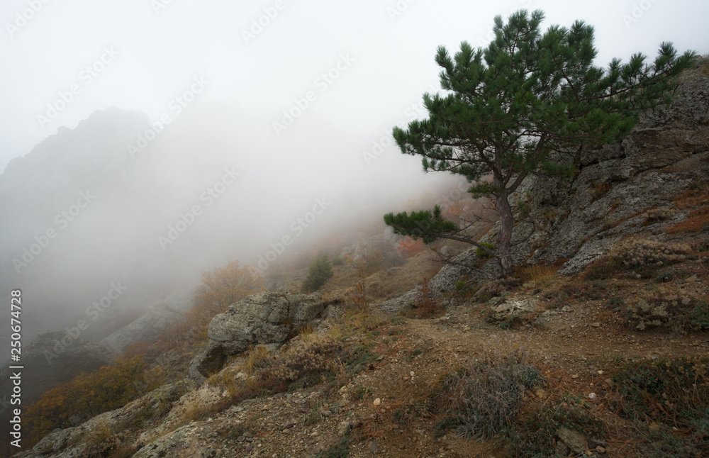 Mount Demerdzhi in autumn, beautiful views of Mount Demerdzhi, Crimea