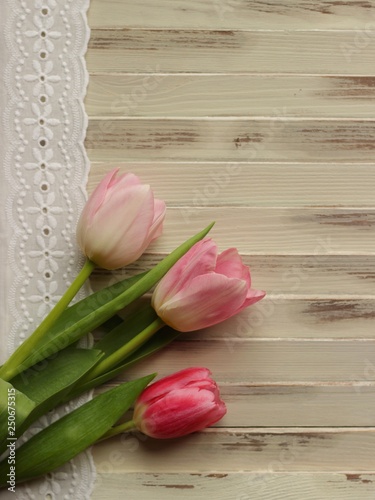 Fototapeta Naklejka Na Ścianę i Meble -  three tulips lying on a light old wooden background with lace