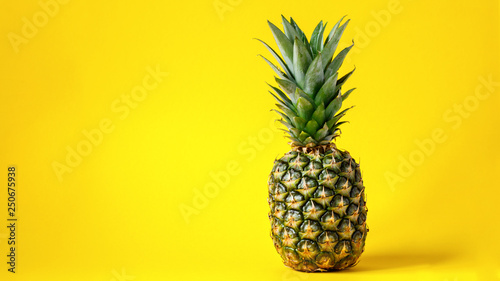 Pineapple on brightly yellow background. Minimal style. Food Idea .Summer concept.Copy space for Text.