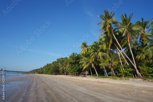 Beautiful Beach with Coconut tree in Chumphon, Thailand