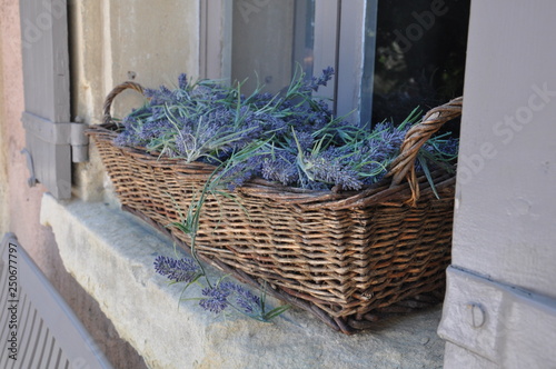 Panier de Lavande sur un rebord de fenetre provençal - décoration