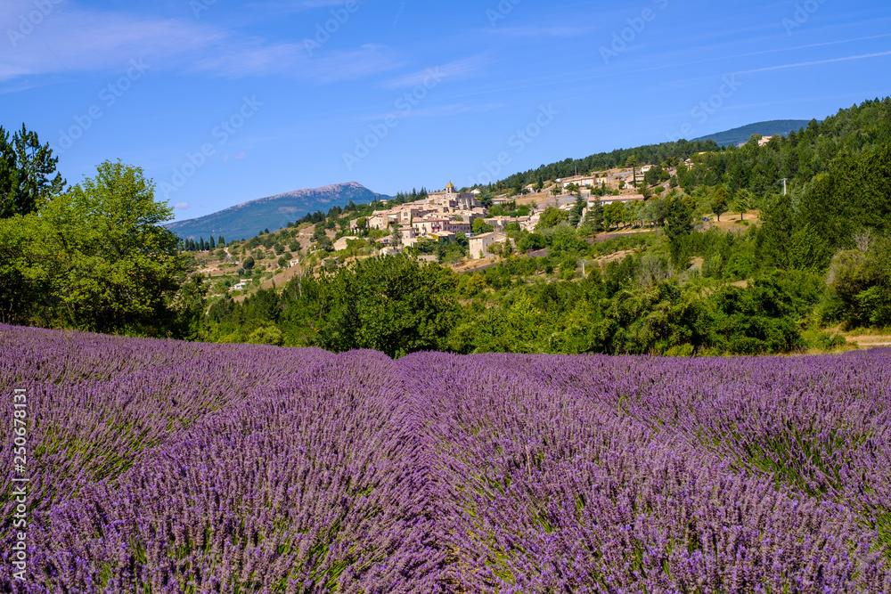 Vue sur le village Aurel en Provence, France. Champ de lavande au premier plan.