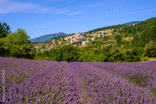 Obraz na płótnie Vue sur le village Aurel en Provence, France. Champ de lavande au premier plan. w salonie