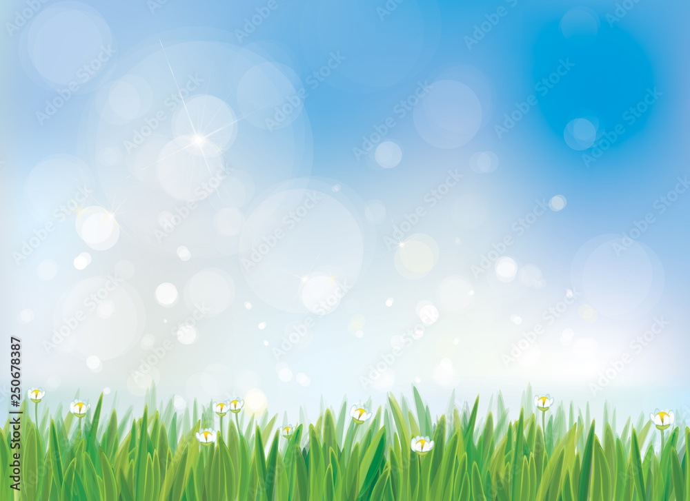 Vector spring nature background, blue sky and green grass border.