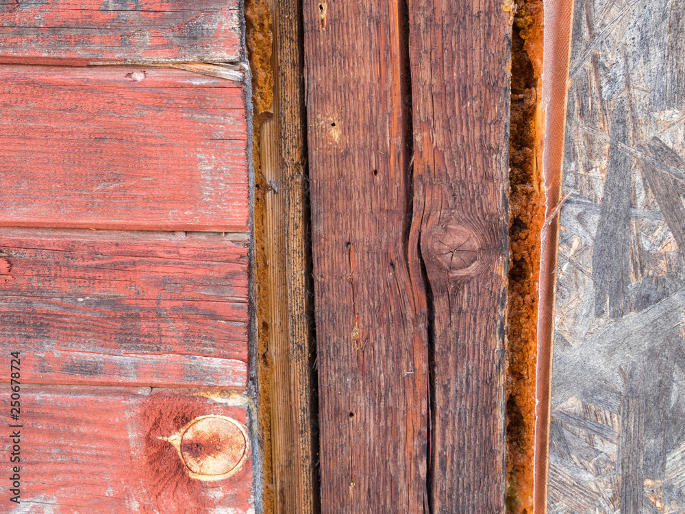 Obraz premium Old oriented strand board (OSB), texture, aged wall