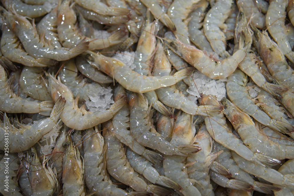 Fresh prawns for sale at the modern fish market located in Dubai Fresh prawns for sale at the modern fish market located in Dubai