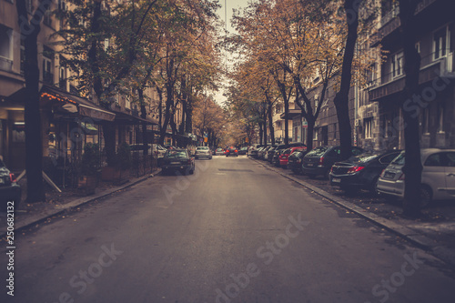 Nightfall in city street with row of trees and cars in parking area, Belgrade, Serbia.