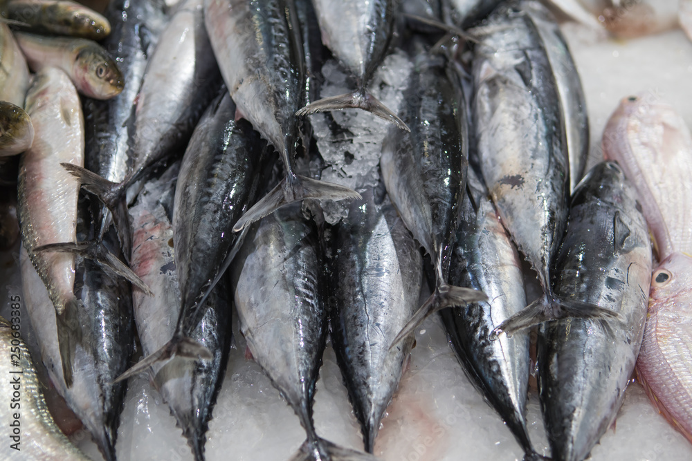 Obraz premium Fresh fish for sale at the modern fish market located in Dubai
