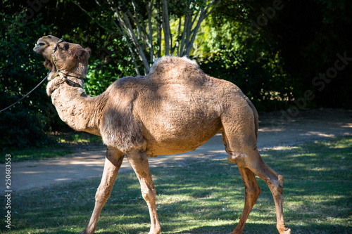 Australia zoo, Queensland