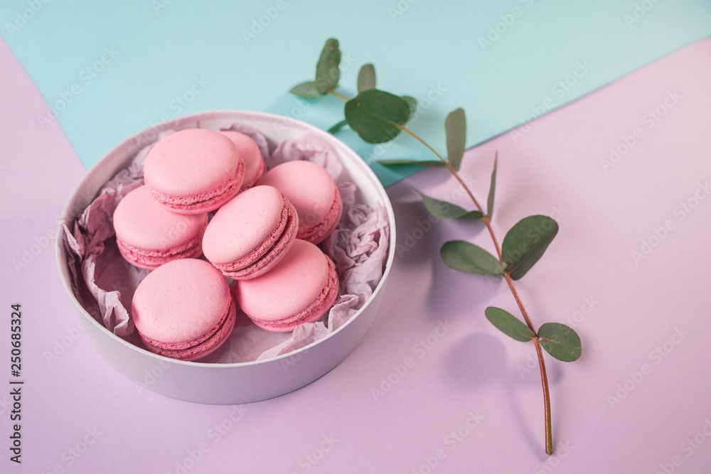 pink delicious homemade macarons in round box and eucalyptus